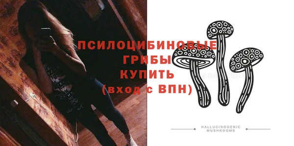 дурь Зеленокумск