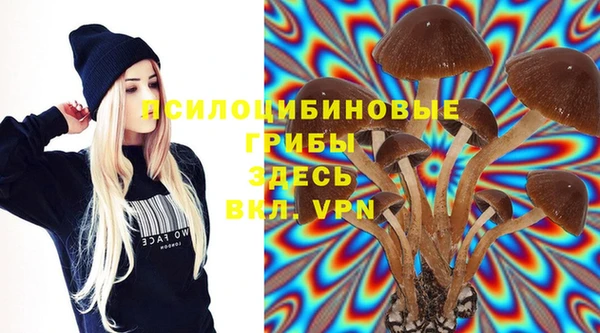 дурь Зеленокумск