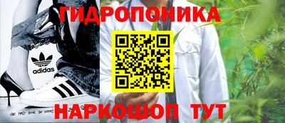 дмт Обь
