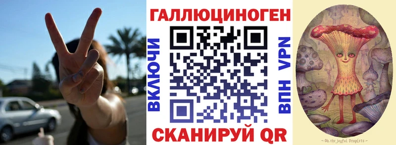 Галлюциногенные грибы GOLDEN TEACHER  kraken зеркало  Славянск-на-Кубани 