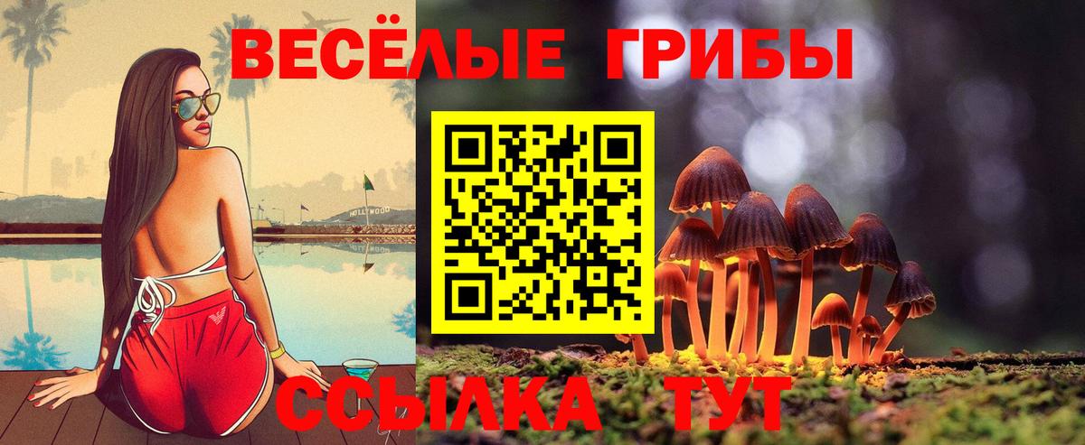 Галлюциногенные грибы Psilocybe  Вход с VPN  что такое наркотик  Славянск-на-Кубани 