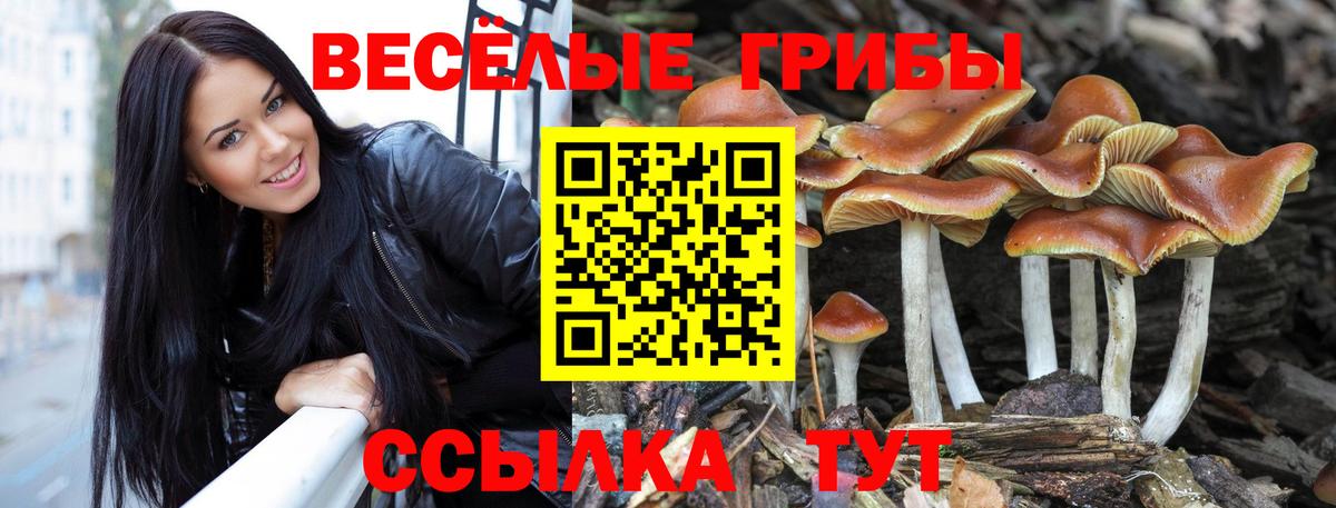 Псилоцибиновые грибы мухоморы  Галлюциногенные грибы Psilocybine cubensis  Славянск-на-Кубани 